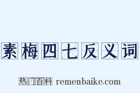 素梅四七反义词是什么意思的图片